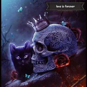 Meet your Posher, Hillis